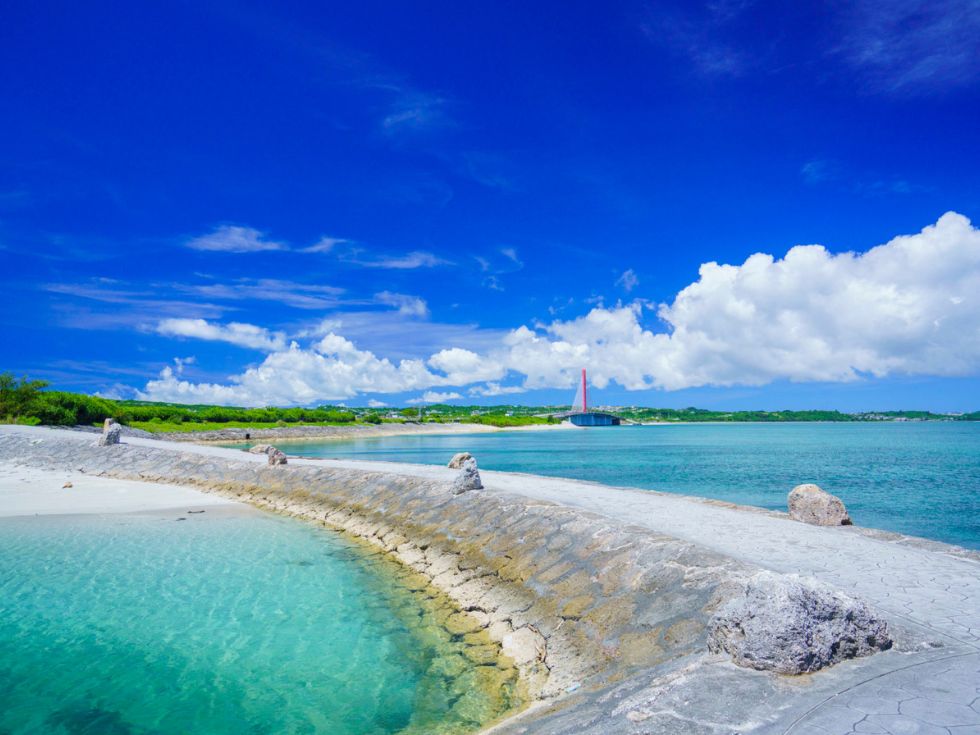 단체관광 이미지