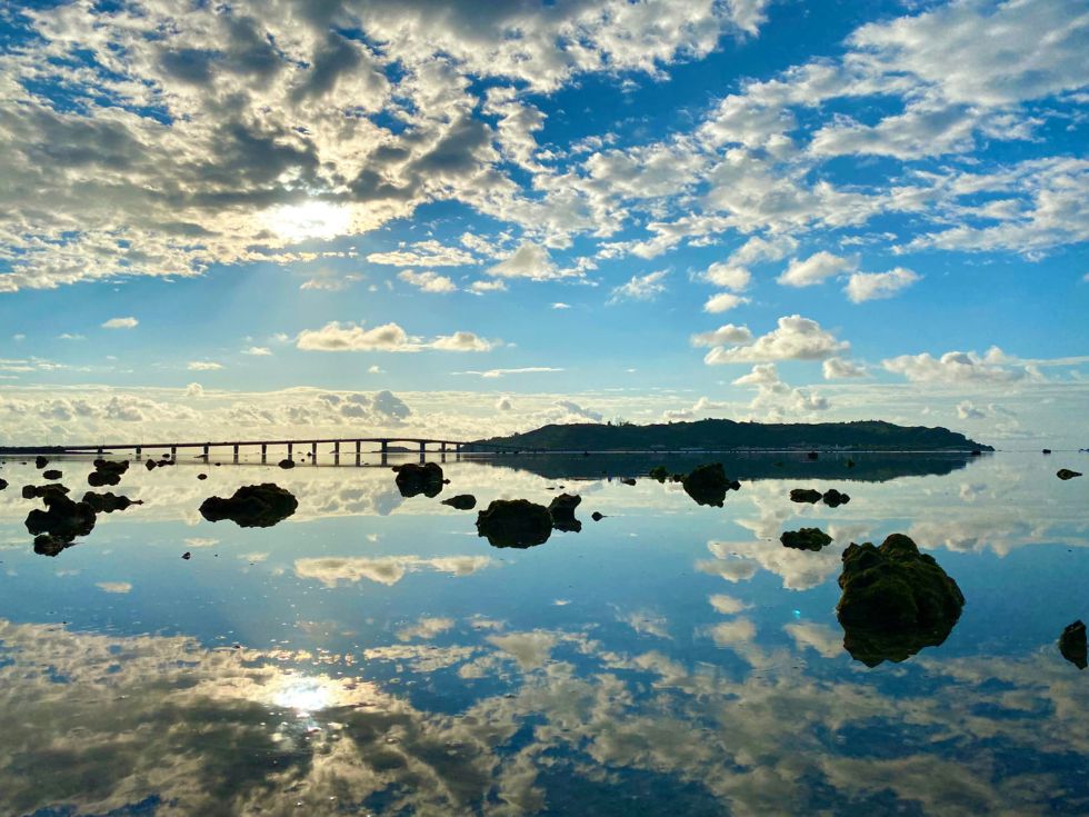 단독투어 이미지